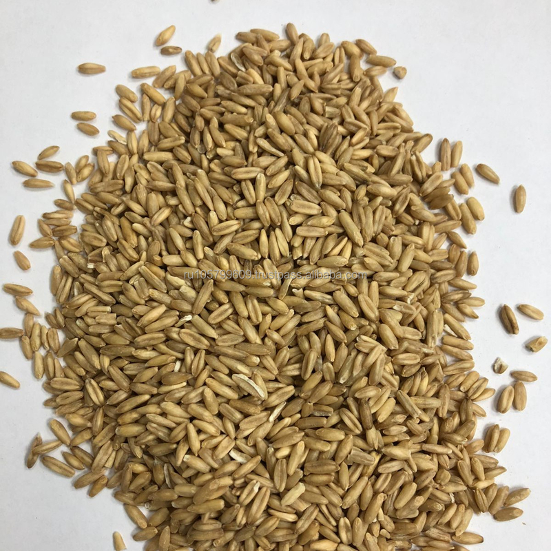 Korn-Hafer-Farbsortierende Maschine für Gersten-Weizen