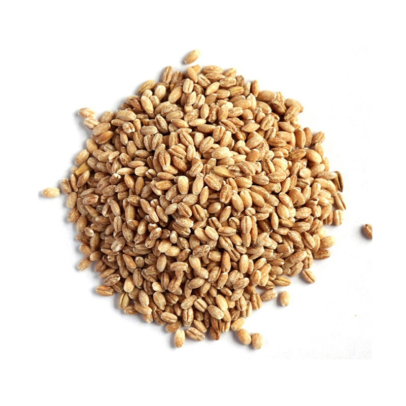 Wenyao Farm Machines 4 erhöht optischen Sortierer-Lieferanten-Weizen-Farbsortierer