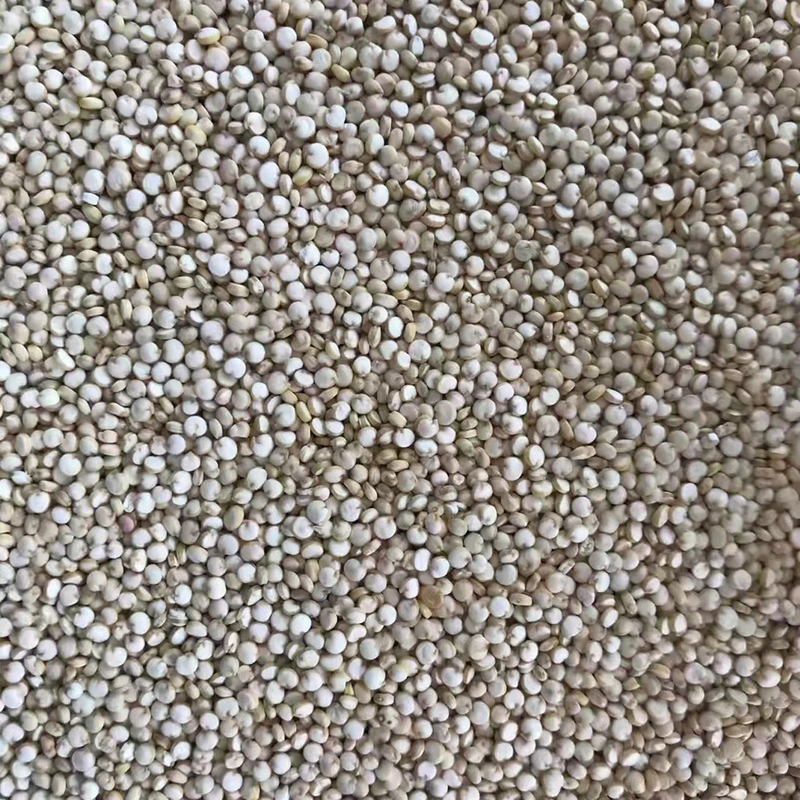 Selbsttragender intelligenter Quinoa-Weizen-Farbsortierer 10t/h