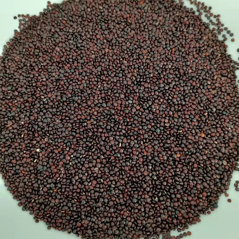 Selbsttragender intelligenter Quinoa-Weizen-Farbsortierer 10t/h