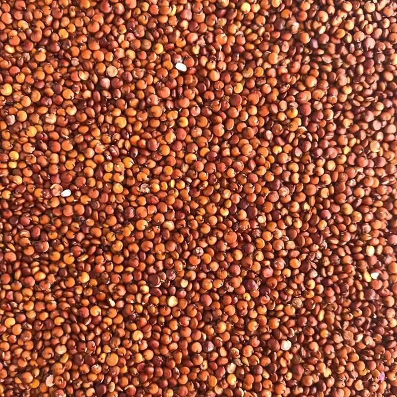 Selbsttragender intelligenter Quinoa-Weizen-Farbsortierer 10t/h