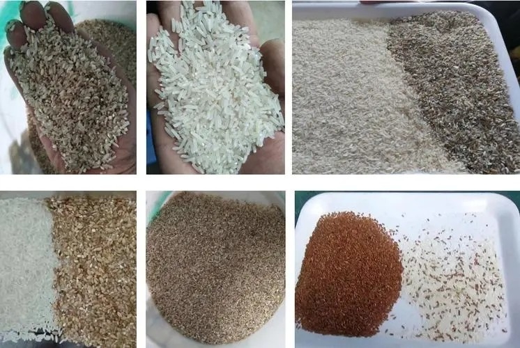 Rutsche 32 der Farbsortierenden Maschinen-1 lenkt Mini Rice Coffee Bean Color-Sortierer-Korn-sortierende Maschine
