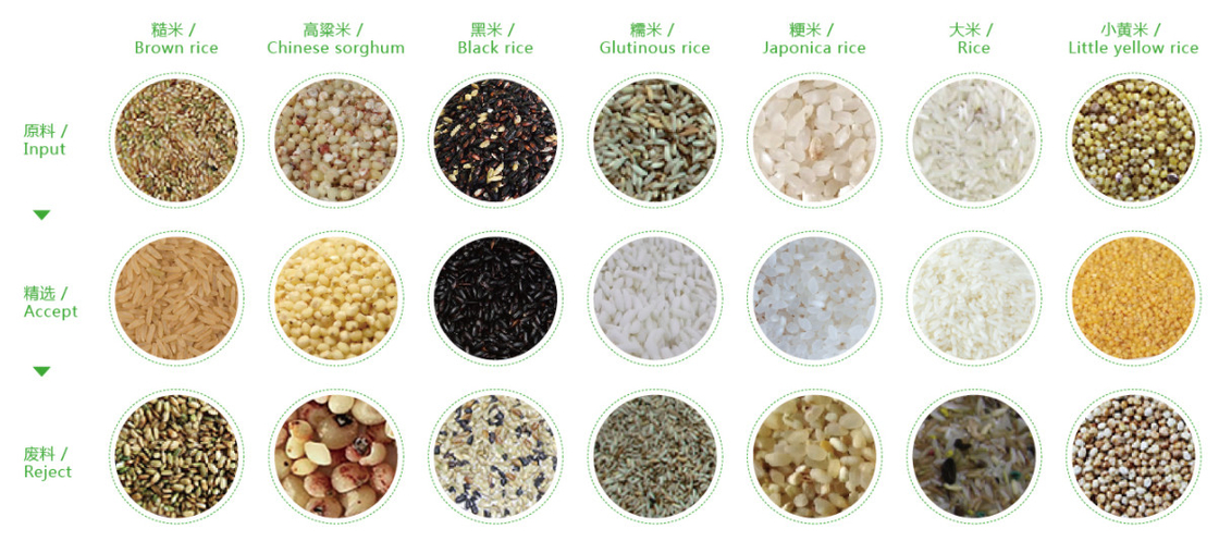 Walnuss-Getreide-Farbsortierende Maschine des WENYAO Color Sorter Optical CCD-Reis-indischen Sesams