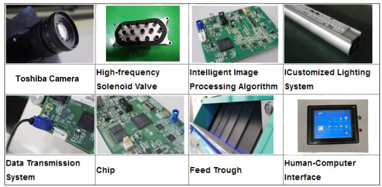 Walnuss-Getreide-Farbsortierende Maschine des WENYAO Color Sorter Optical CCD-Reis-indischen Sesams