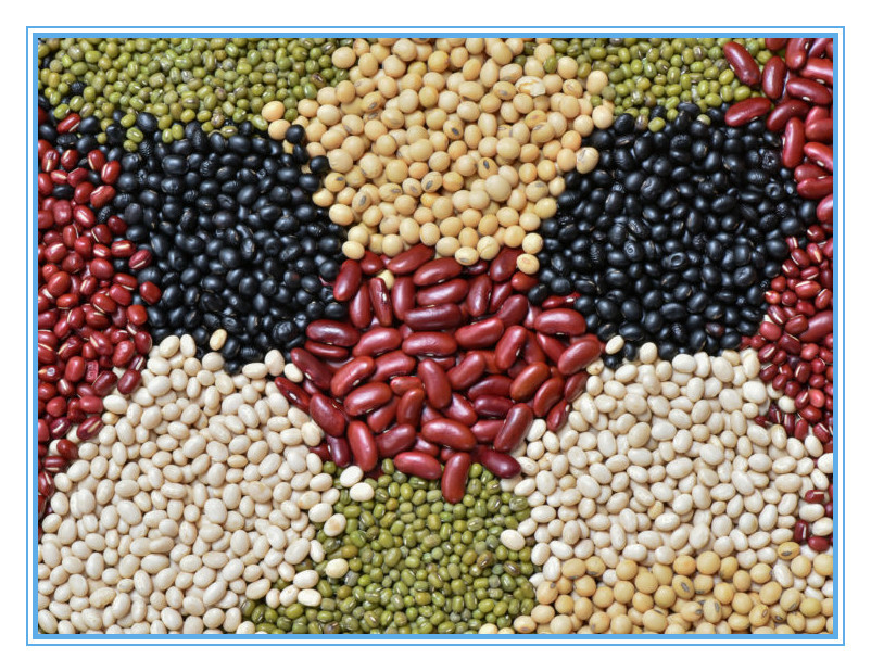 Korn-Farbsortierer für Samen-Bohnen-Quinoa-Reis-Farbsortierende Maschine des indischen Sesams