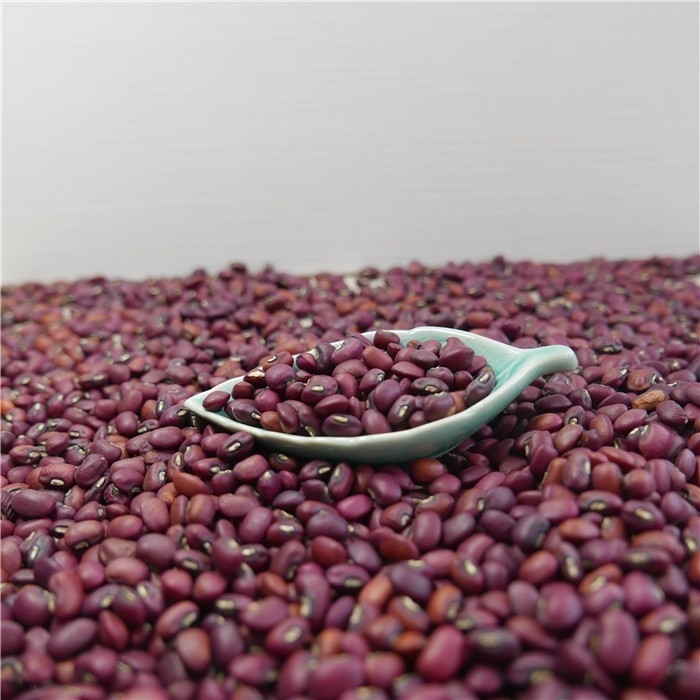 China-Fabrik-Großhandel-Mini Red Beans Color Sorter-Maschine 1 Ton Per Day