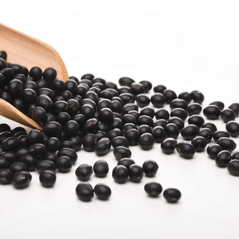 Edelstahl-niedriger Verbrauchs-schwarze Gartenbohnen färben Sortierer-Maschinen-Ackerland-Anlage