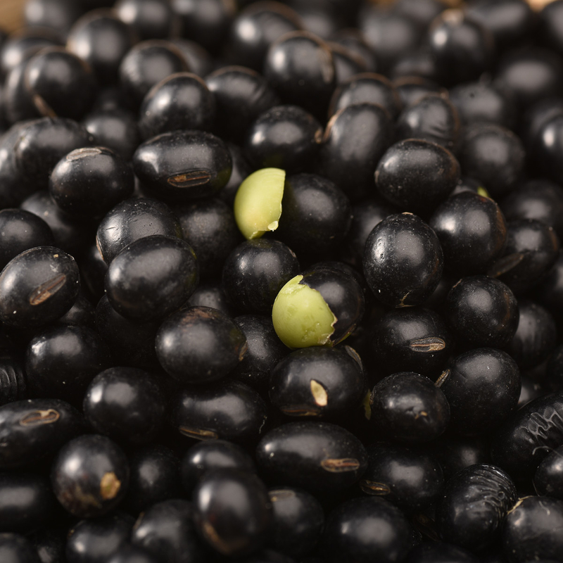 Edelstahl-niedriger Verbrauchs-schwarze Gartenbohnen färben Sortierer-Maschinen-Ackerland-Anlage