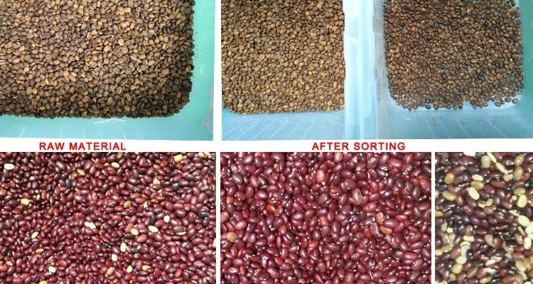Spezielle Linse Bildverarbeitungskaffee-Bean Sesame Color Sorter Withs