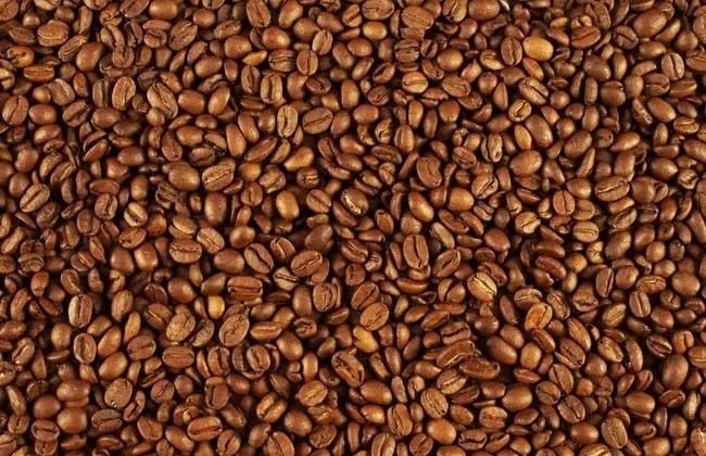 Brasilien-Kakaobohne-Körner färben sortierende Maschine mit CCD RGB