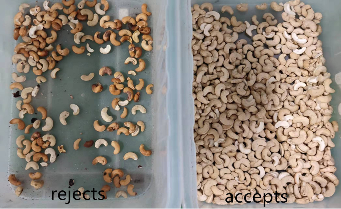 Wenyao Nut Sorting Processing Machine-CD-Kamera AI-Nuss-Farbsortierer