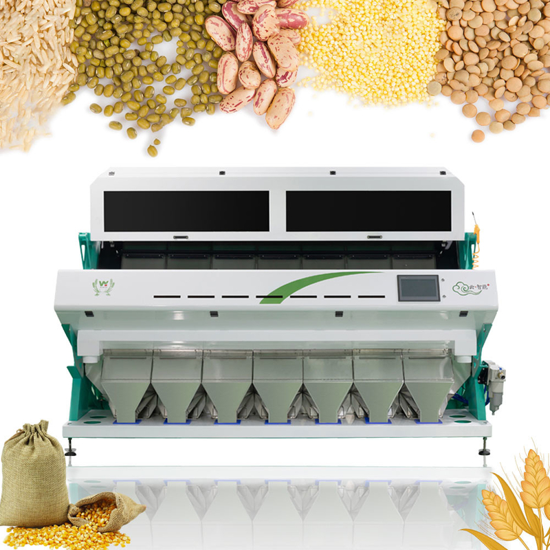 Automatische 7 Rutschen bewirtschaften Produktlinie benutzte Weizen-Gersten-Farbsortierende Maschine mit Toshiba-Kamera
