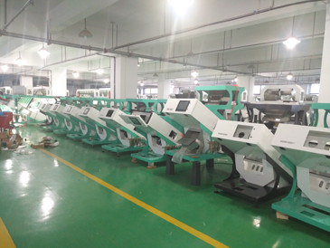 320 Durchsatz-CD-Kamera-optischer Weizen-sortierende Maschine der Kanal-2-6T/H