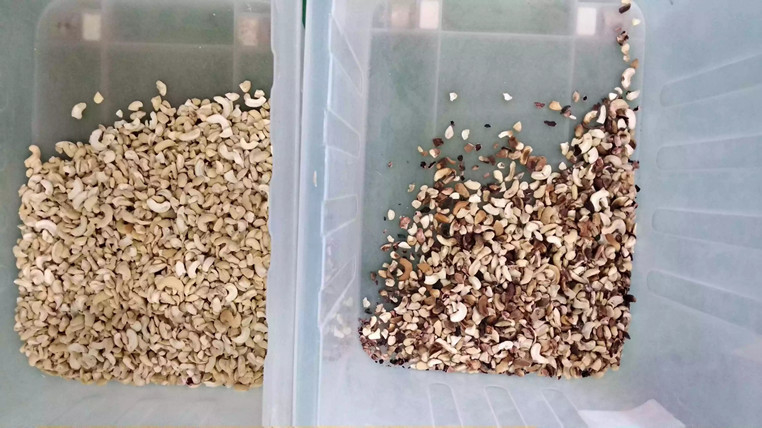 Abgezogene Rutschen Erdnuss-Mandel-Walnuss-Rosinen-Farbsortierende Maschine CCDs 5