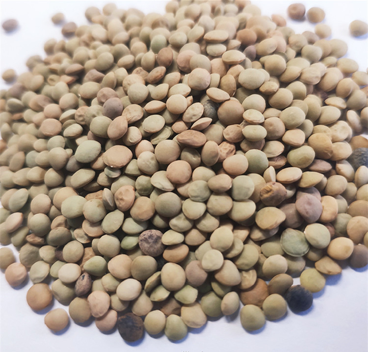 Multifunktionsmais-Quinoa-Weizen-Reis-Farbsortierer-automatische Datenverarbeitung