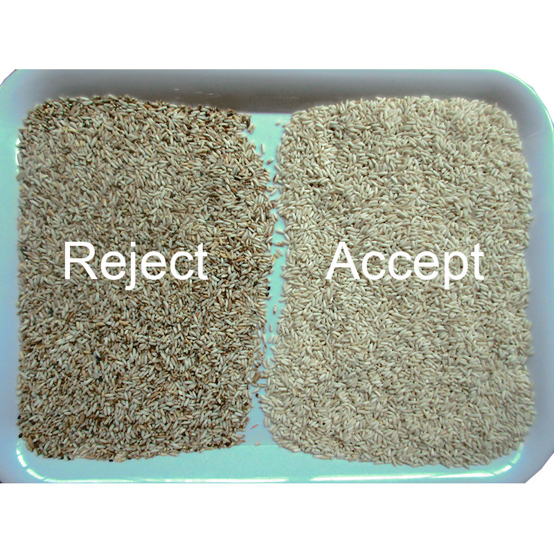 Mini Rice Color Sorting Machine durch optische CD-Kamera