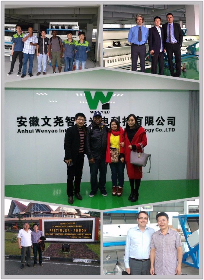 Mais-Farbe und Form RGB-optische CCDs Wenyao Color Sorter For Wheat 13