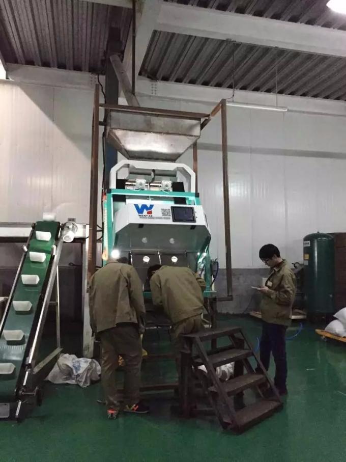 Mais-Farbe und Form RGB-optische CCDs Wenyao Color Sorter For Wheat 8