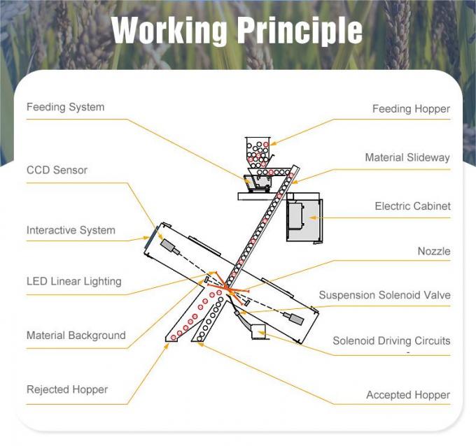 Mini-optische Weizenfarbsortierer-Landwirtschaftsmaschinen 2 T/H 5