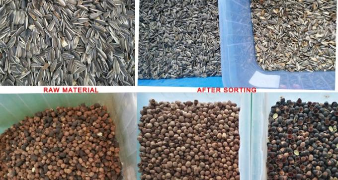 220V / 50Hz Wenyao Farbsortiermaschine für Kaffeebohnen Kirsche 5