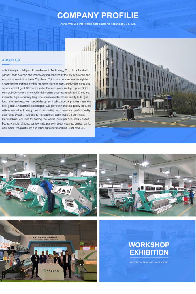 Intelligente Pflaumen Blaubeere Kohl Kiwicha gebratene Zwiebel Gemüse Obst Farb Sortiermaschine für die landwirtschaftliche Verarbeitung 25