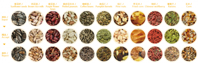 Intelligente Pflaumen Blaubeere Kohl Kiwicha gebratene Zwiebel Gemüse Obst Farb Sortiermaschine für die landwirtschaftliche Verarbeitung 4