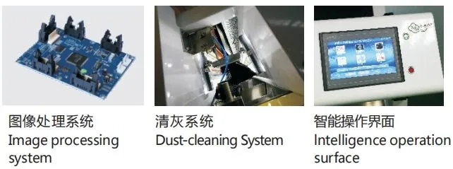 Wenyao Nut Hazelnut Color Sorter Machine Corn Pepper Almond Color Sorting CCD Color Sorter