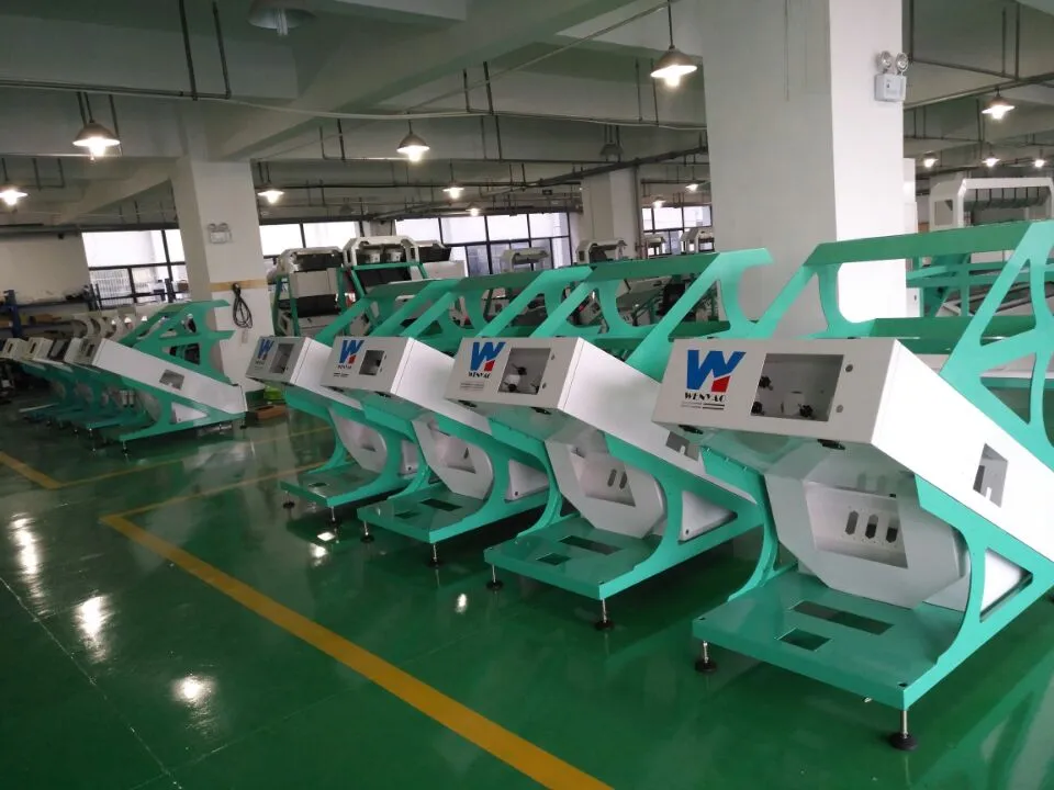 Wenyao Nut Hazelnut Color Sorter Machine Corn Pepper Almond Color Sorting CCD Color Sorter