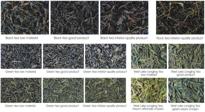 Wenyao CCD-Teesortiermaschine für die Sortierung von schwarzem Tee in Sri Lanka 2