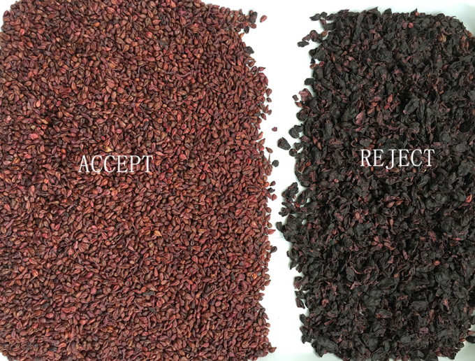 320-Kanäle optischer CCD-Farbsorter Rosinenfarbsortiermaschine mit CE-Zertifizierung 2