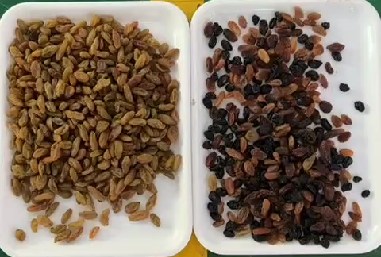 320-Kanäle optischer CCD-Farbsorter Rosinenfarbsortiermaschine mit CE-Zertifizierung 3