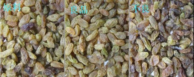 320-Kanäle optischer CCD-Farbsorter Rosinenfarbsortiermaschine mit CE-Zertifizierung 4