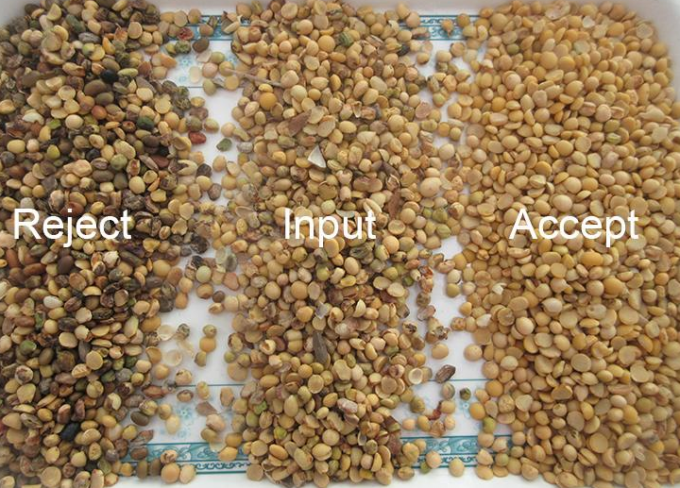 Intelligenter Farbtrennstoff CCD-Kamera Getreide Reis Sojabohnen Farbsorter für die Landwirtschaft 3
