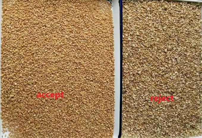 Hochgeschwindigkeits-Selbstreinigung für Getreide-, Reis- und Bohnen-Sortieroperationen Farbsortiermaschine 0