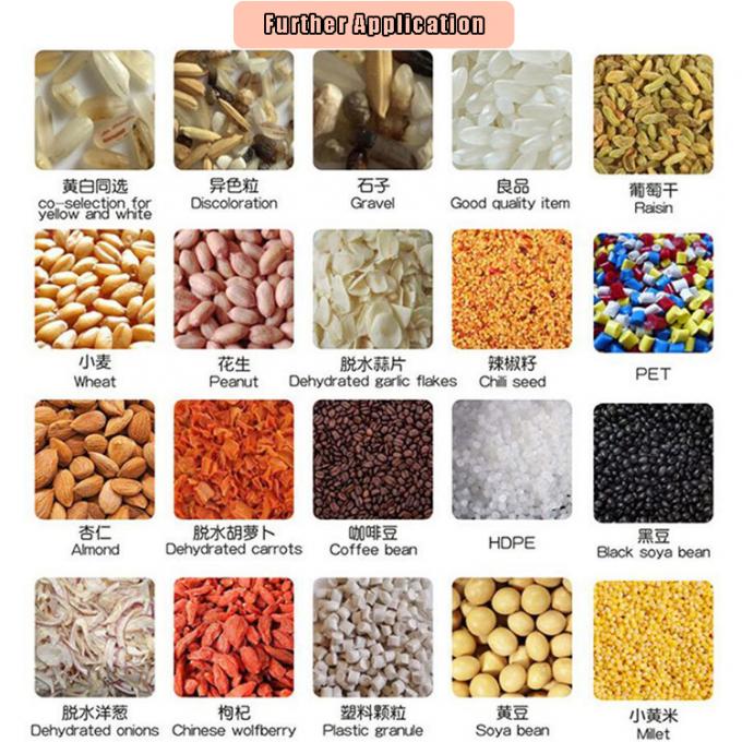 KI-Lernen Intelligente Gürtel-Stil Erdnuss Haselnuss Pistaziennüsse Farbsorter Maschine 9