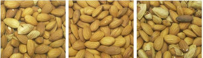 KI-Lernen Intelligente Gürtel-Stil Erdnuss Haselnuss Pistaziennüsse Farbsorter Maschine 13