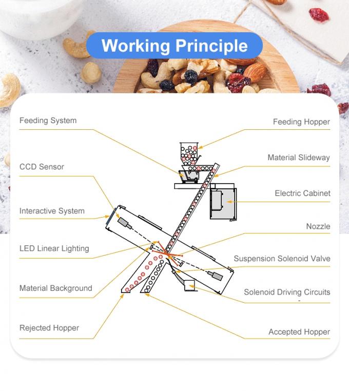Wenyao 5 Chute Chinesische Fabrik Optical Sorter Kardamom Bohnen Farb Sorter Maschine 4