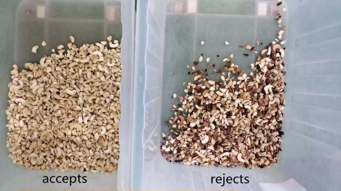 Intelligente 6 Chute Cashew-Nuss Farbsortiermaschine mit Toshiba CCD-Sensor und RGB-Kamera 6