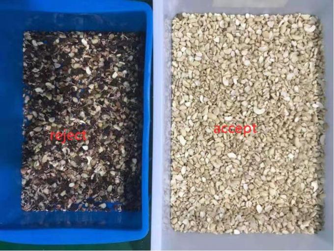 Intelligente 6 Chute Cashew-Nuss Farbsortiermaschine mit Toshiba CCD-Sensor und RGB-Kamera 8