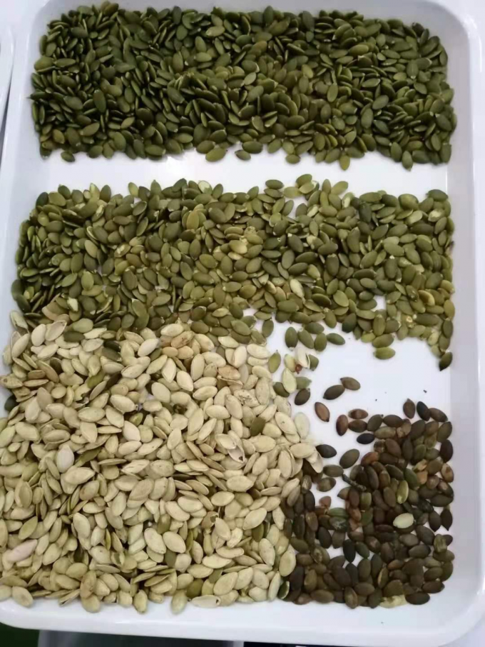 Wenyao Neues optisches CE-Zertifikat Kürbissamen Wassermelone Samen Farbsortiermaschine 11