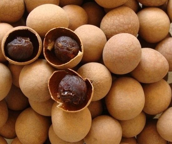 WENYAO Mini-Schuhe Dehydrierte Früchte Optische Sortiermaschine Getrocknete Aprikosen Pfirsich Äpfel Farbsorter Stängel entfernen Stamm Schimmel 10