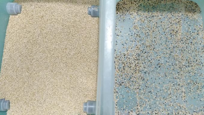 Wenyao Chinesische Fabrik 7 Chute-Stil Hochtechnologie Getreide Sesam Farb Sortiermaschine 4