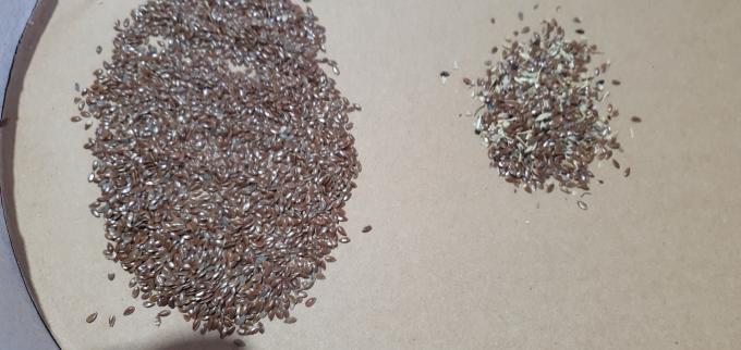 Wenyao 2025 Hot-Selling Saatgut Sortieren vollautomatische Chia Saatgut Leinsamen Farb Sortiermaschine 13