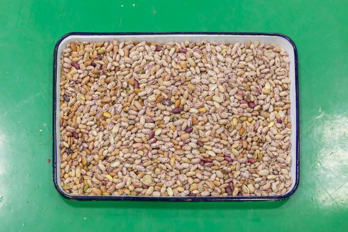 Wenyao Neueste Fernbedienung Intelligentes Korn Rot Niere Bohnen Farb Sortiermaschine 4