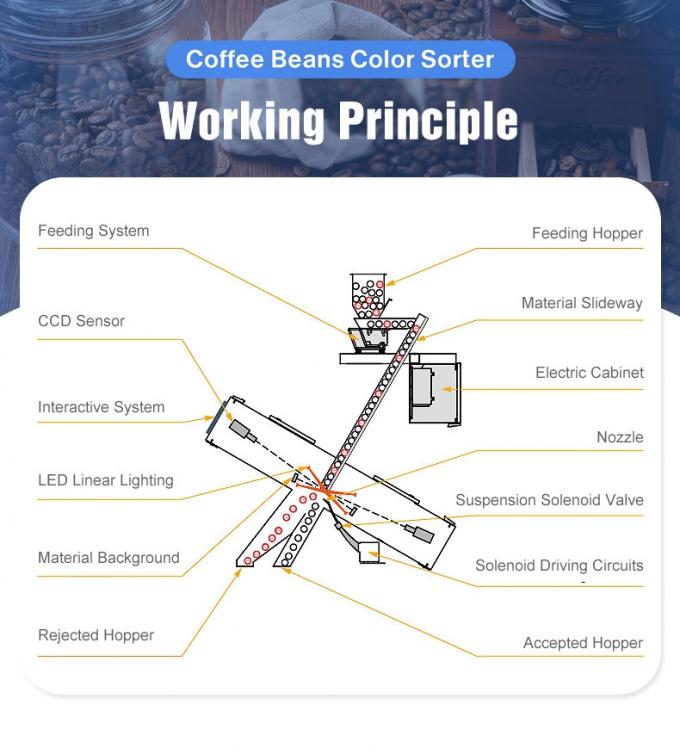 Weanyao Multifunktionsanpassbare CCD-Kamera Grüne und geröstete Kaffeebohnen Farbsortiermaschine 3