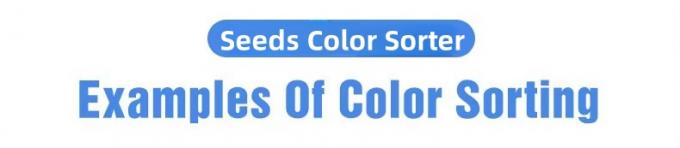 Wenyao 5 Chute Chinesische Fabrik Optical Sorter Kardamom Bohnen Farb Sorter Maschine 1