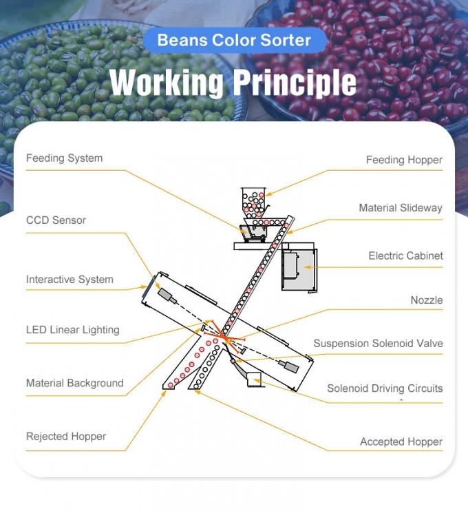 Wenyao Chinesische Fabrikpreis vollautomatische Rotbohnen Nierenbohnen Farb Sortiermaschine 3