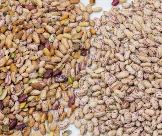 Hochgenaue Intelligente Nierbohnen-Rotbohnen-optische Farbsortiermaschine 11