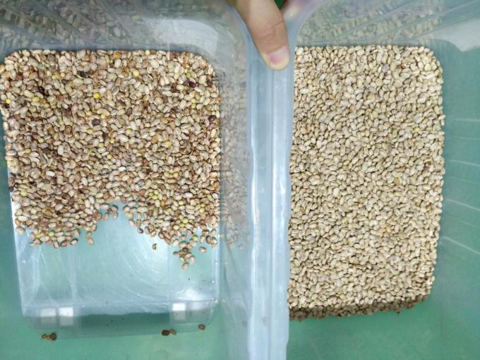 Wenyao Optische Hochleistungs-Sortiermaschine für Kidneybohnen und brasilianische Bohnen 4