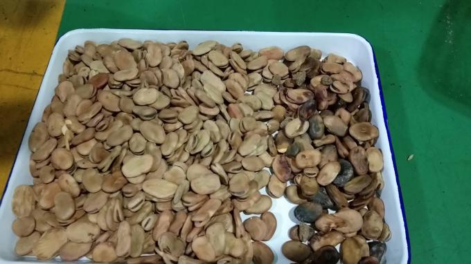 Wenyao Optische Hochleistungs-Sortiermaschine für Kidneybohnen und brasilianische Bohnen 5